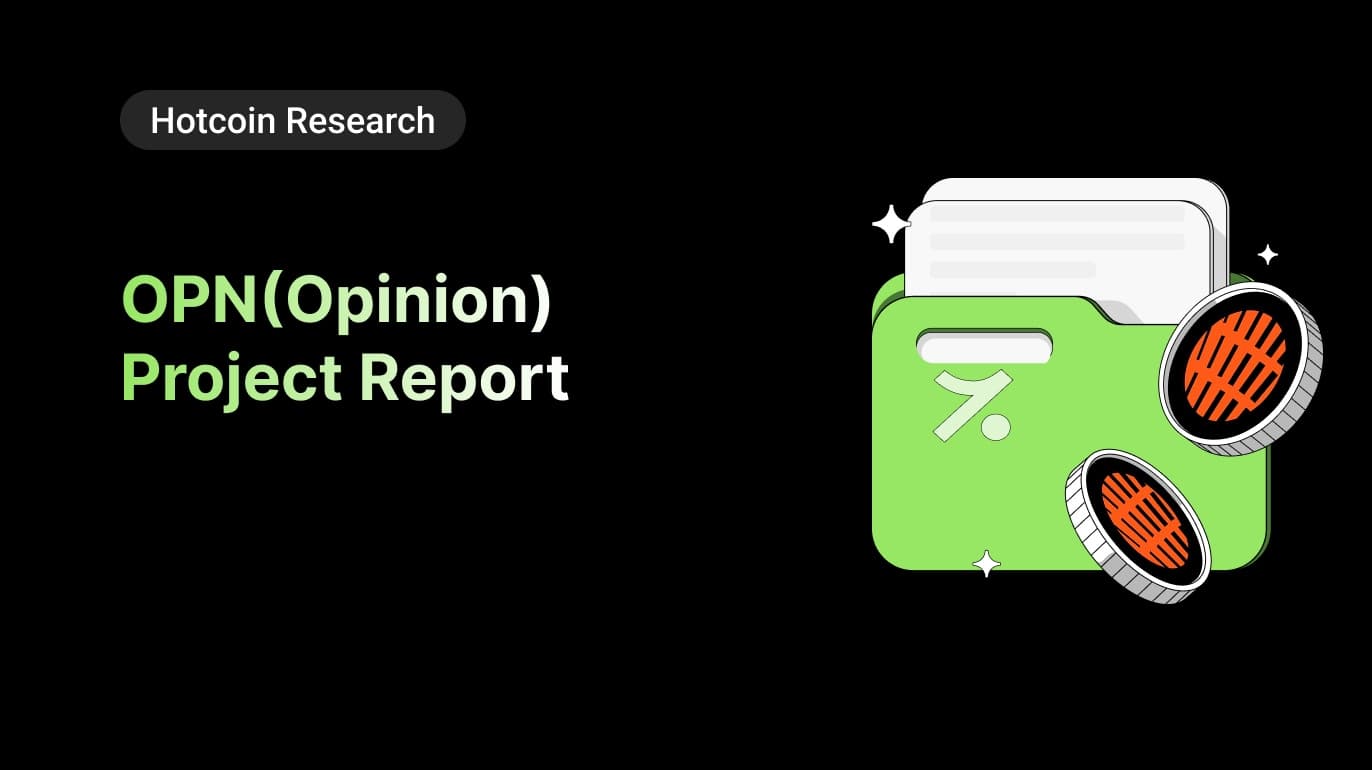 OPN(Opinion)Project Report